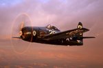 F8FBearcat.jpg