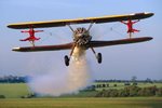 Stearman.Wingwalk.jpg