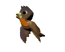 brown_parakeet_lg_clr.gif