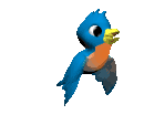blue_parakeet_lg_clr.gif