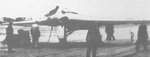 ho229-1.jpg