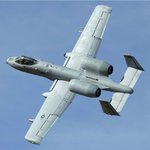 hawgsmoke2.jpg