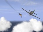 pj8.JPG