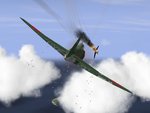 pj96.JPG