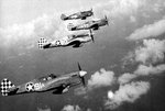 P-40_325th_Fighter_Group.jpg