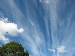 IMG_1506.JPG