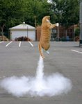 a.aaa-Flying-cat-rocket-.jpg