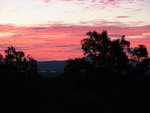 IMG_1656.JPG