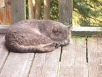 IMG_2286.jpg