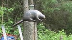 IMG_CU2291.jpg