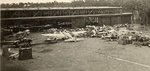 White 13_Wusdorf_Junkyard_2.jpg