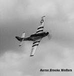 4337- P-51 Black and White resized 25 legal.jpg