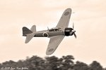 EVG_7451.jpg