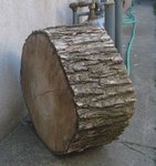 IMG_2331.jpg