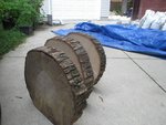 IMG_2346.jpg