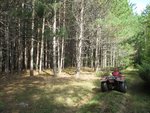 IMG_2357.jpg