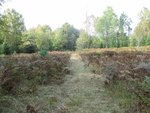IMG_2362.jpg