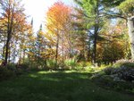 IMG_2363.jpg