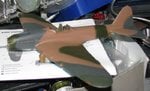 il_22.JPG