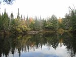 IMG_2368.jpg
