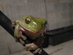 IMG_1915.JPG