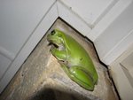 IMG_1918.JPG