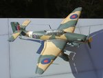 DSC03274.jpg
