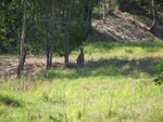 IMG_1999.JPG