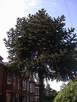 DSC00014.JPG