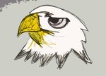 eagle.jpg