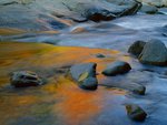 Swift River, White Mountain National Forest, New Hampshire.jpg