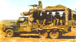 perentie.jpg