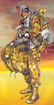para-3rar.jpg