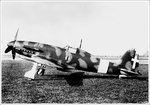 G.55 (11).jpg