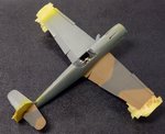 50_Upper Wing Colours_1046.jpg