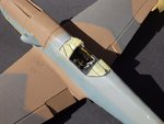 53_Canopy masked_1069.jpg