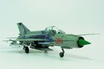 img 037.jpg