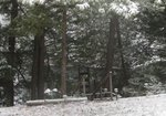 IMG_2440.jpg
