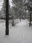 IMG_2453.jpg