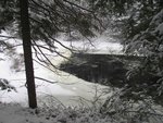 IMG_2441.jpg