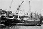 MV BALTANGLIA (UK 1,523 grt).jpg