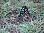 IMG_2290.JPG