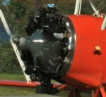 IMG_1360 adjusted cropped 2.jpg