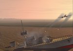 Beau04.JPG