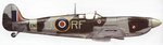 Spitfire MkIX_303Sqn.jpg