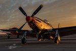 P-51 Wee Willy-026 A.jpg