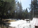 IMG_2553.jpg