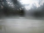IMG_2567.jpg