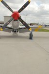 DSC_0029rs.JPG