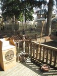 IMG_2574.jpg